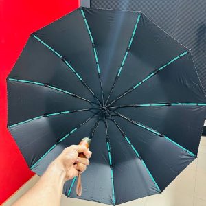Premium 12-Ribs Automatic Open/Close Wood Handle Umbrella